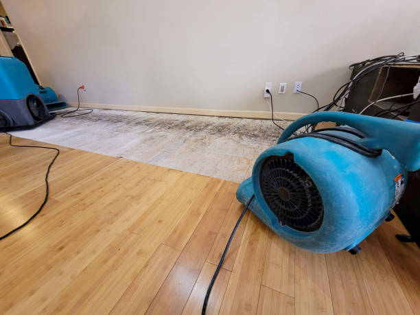 Professional Basement Flood Cleanup technician working in Kettle Falls, WA